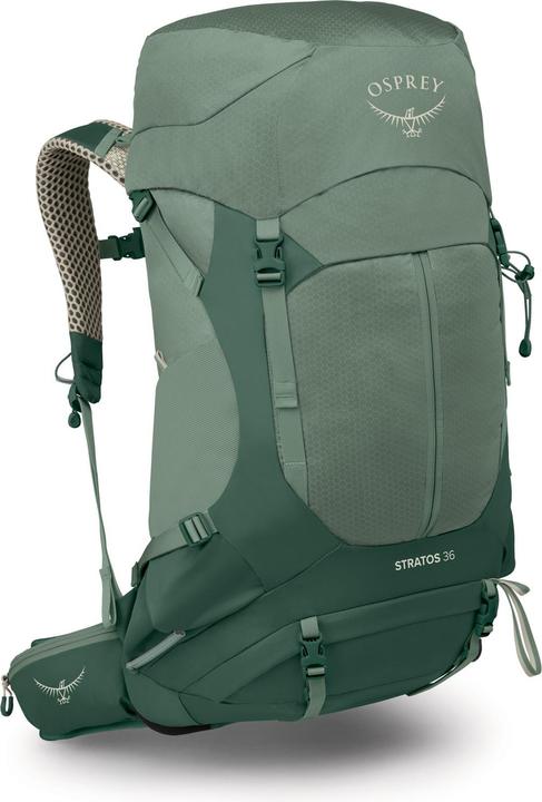 pine leaf, PineLeafGreen