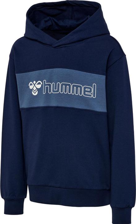 Immagine prodotto hummel Felpa Con Cappuccio Hmlatlas (116)