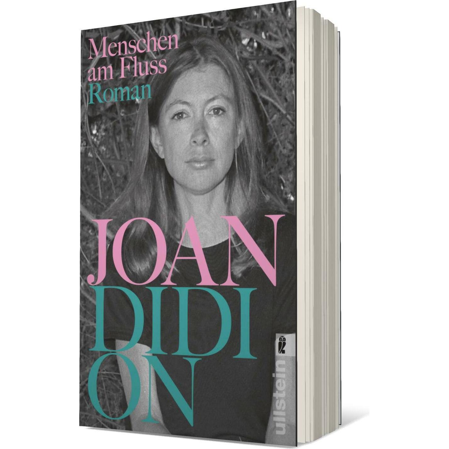 Menschen am Fluss, Belletristik von Joan Didion