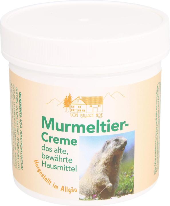 Actual product image Axisis Pullach Hof Marmot Cream, 250 ml Cream (Body cream, 250 ml)