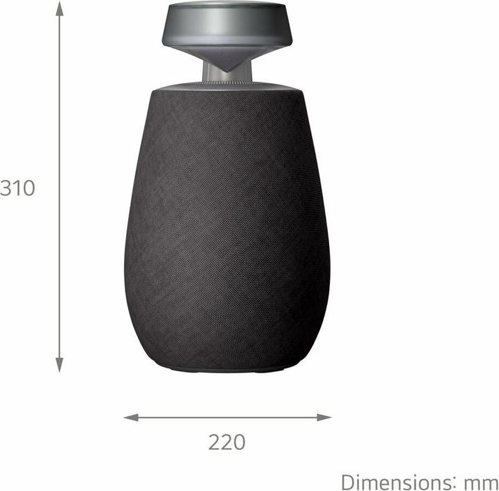 Actual product image LG XBoom Go XG2 (10 h)