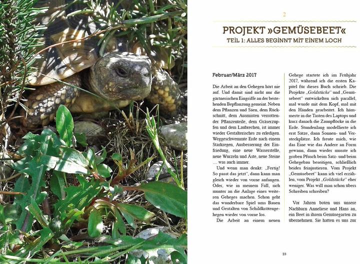 Produktbild Manchmal sind es Goldstücke (Deutsch, Lutz Prauser, 2018)