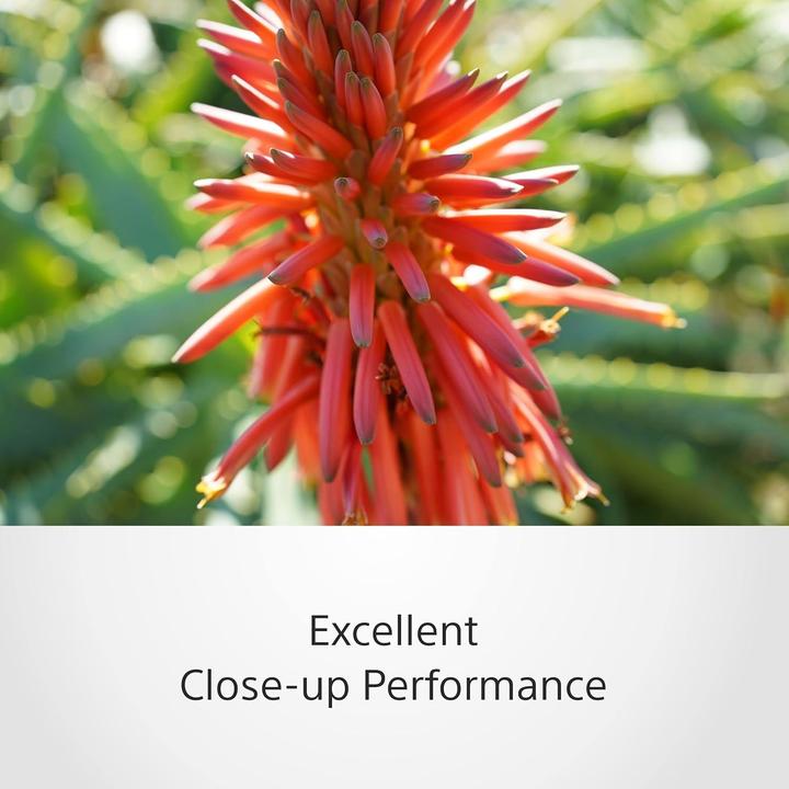 Produktbild Sony FE 40mm f/2.5 G (Sony E, Vollformat)