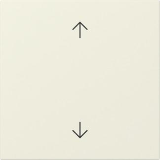 Actual product image Gira Rocker arrows