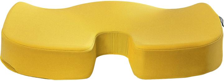 Actual product image Leitz Seat Cushion Ergo Cosy (35.50 x 45.50 cm)