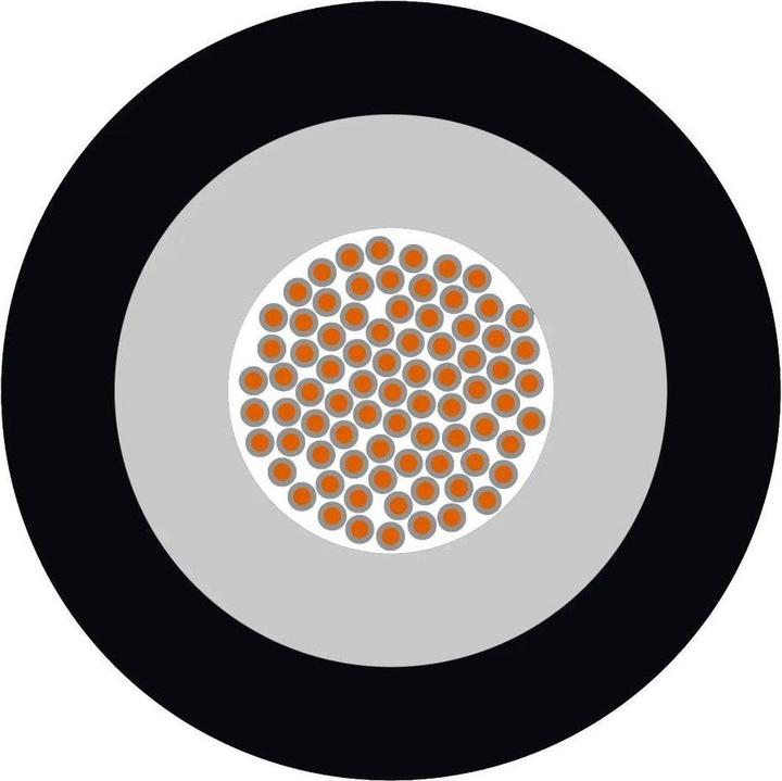 Immagine prodotto Lapp 85165021/500 Bahnleitung OM 1 x 2.5 mm² 500 m (500 m)