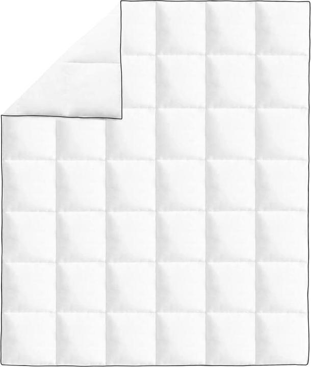 Image du produit vidaXL Bettdecke (Duvet, 200 x 220 cm)