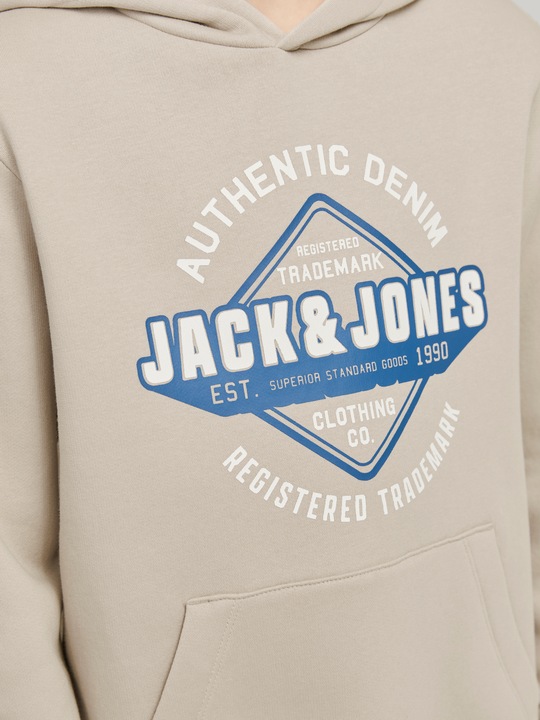 Actual product image Jack & Jones JJELOGO SWEAT HOOD 2 COL 24/25 NOOS JNR (176)