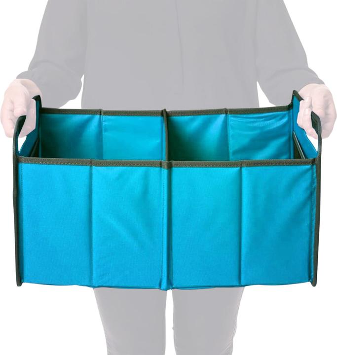 Actual product image Meori Folding box (50 cm, 30 l, 1x)