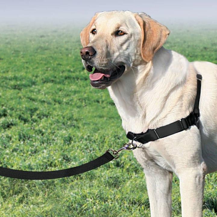 Image du produit PetSafe Easy Walk (L, Chien, Promenade)