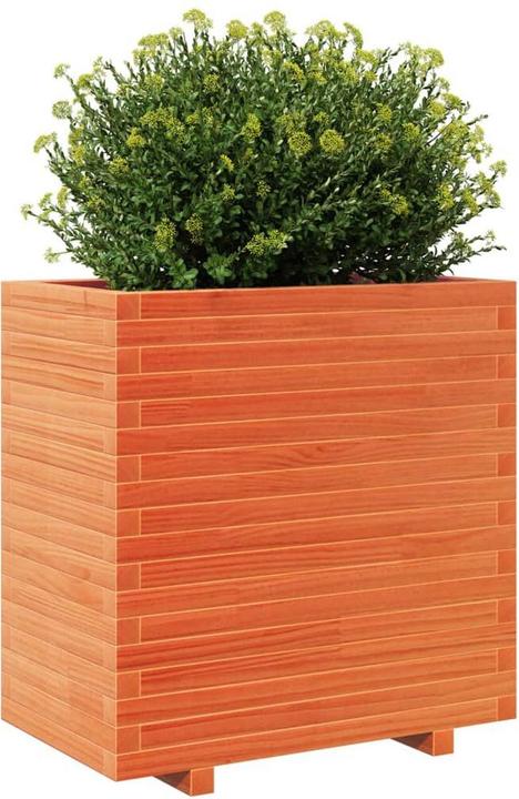 Immagine prodotto vidaXL Pflanzkübel