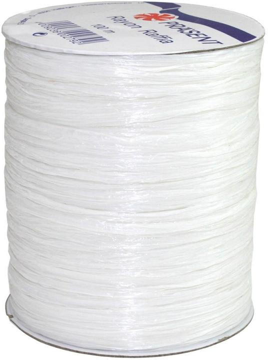 Actual product image micasa Rayon Raffia (1x)