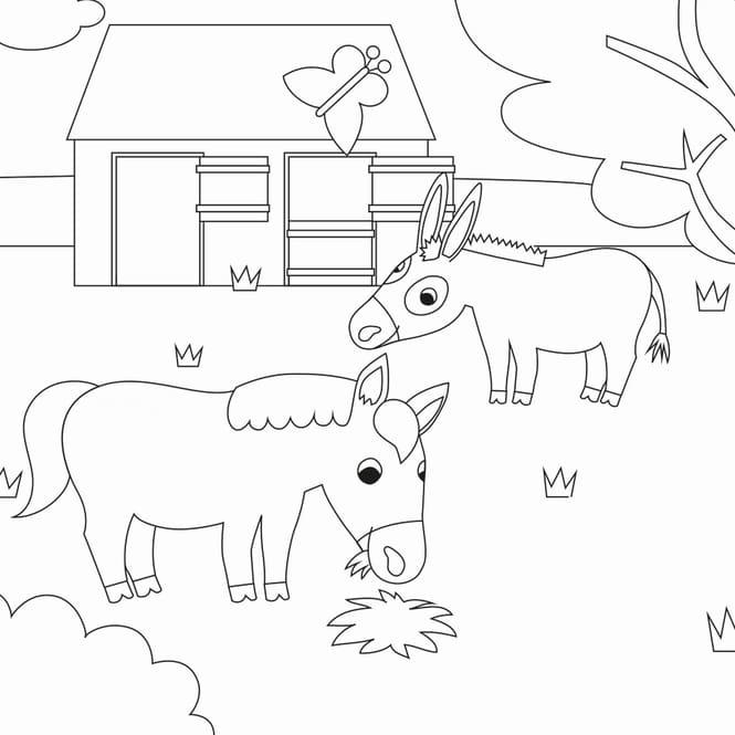 Thumbnail - Arena Bauernhof