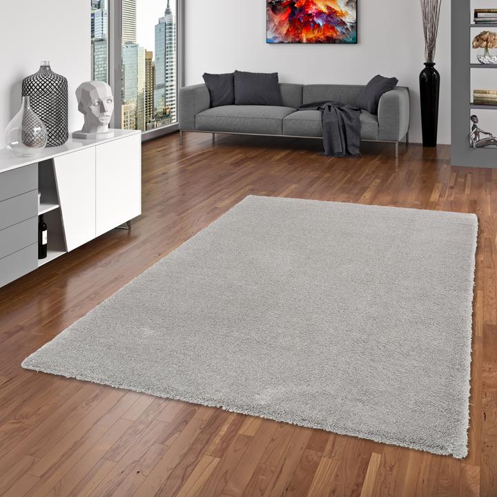 Image du produit Snapstyle Luxus Hochflor Langflor Teppich Harmony (80 x 160 cm)