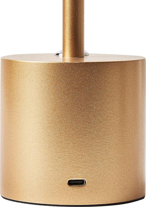 Image du produit Beliani Lizandro (150 lm)