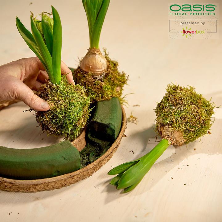 Actual product image Oasis OASISBIOLIT wreath