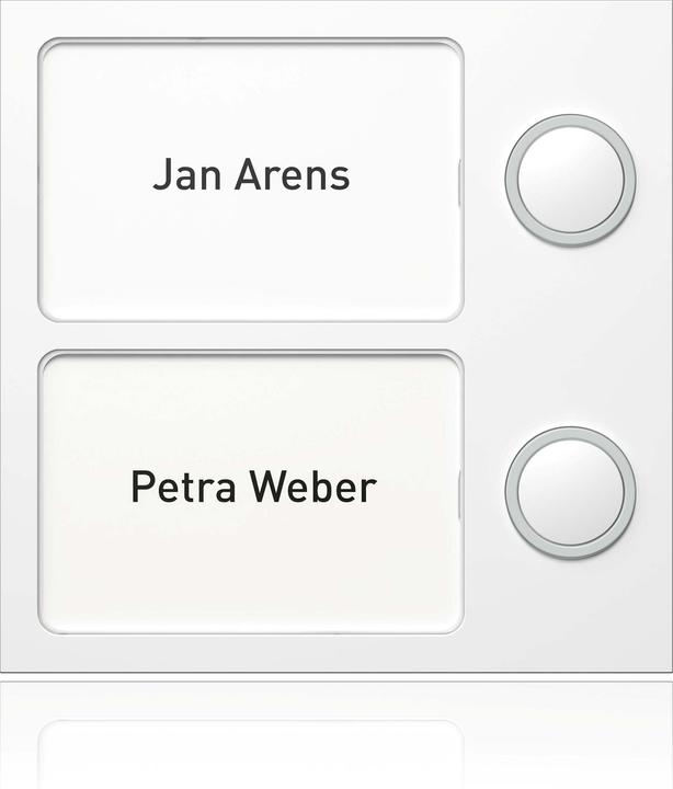 Schneider Electric Keypad module 1875299 Doorman 2 buttons RAL special colour