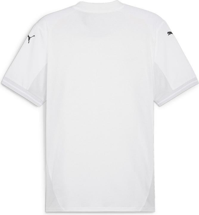 Actual product image Puma teamFINAL Jersey (S)