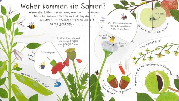 Produktbild Erstes Aufklappen und Verstehen: Warum blühen Blumen? (Deutsch, Katie Daynes, 2017)