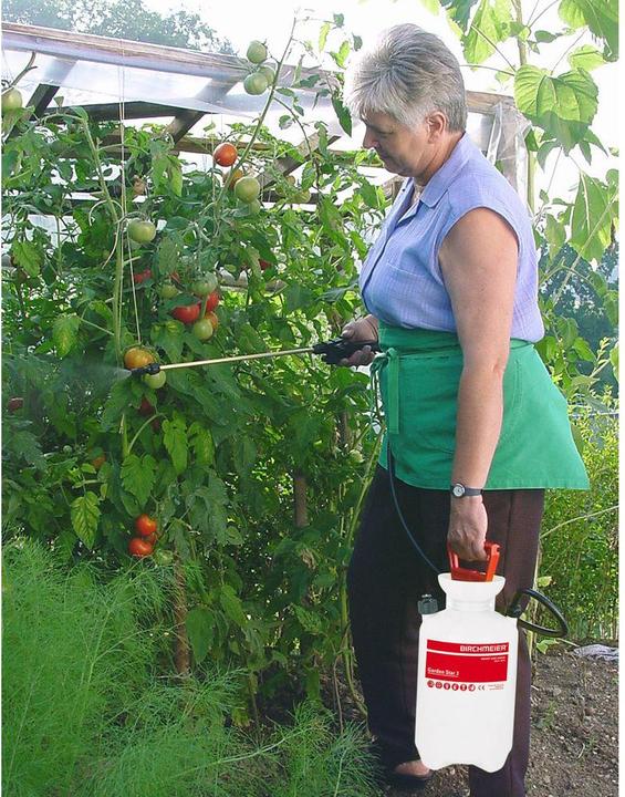 Image du produit Birchmeier Étoile du jardin 3 (3 l)