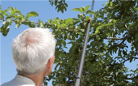 Produktbild Gardena Comfort Teleskop-Baumschneider StarCut 410 BL