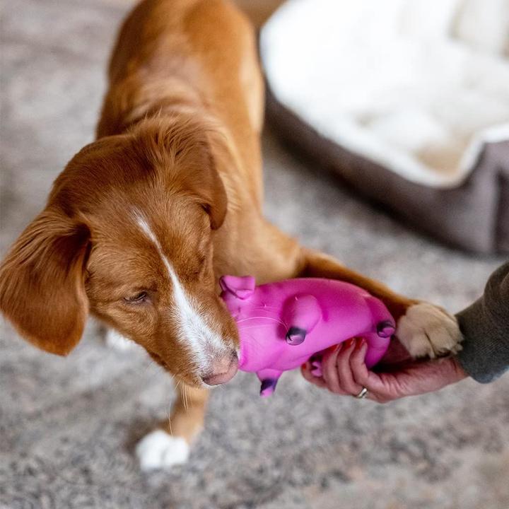 Immagine prodotto Nobby Cane giocattolo in lattice di maiale, 20 cm (Gioco da masticare per cani)