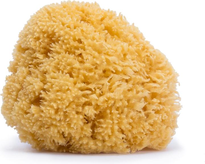 Suavinex Sponge