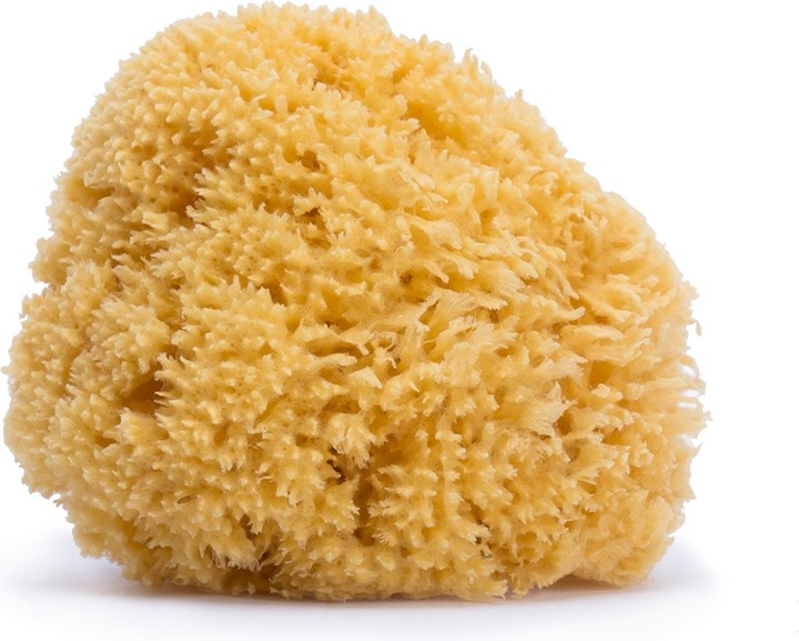 Suavinex Sponge