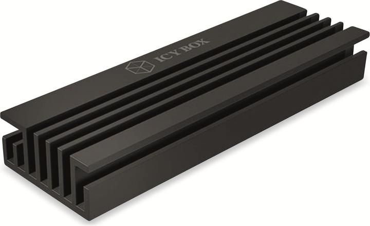 Actual product image Icy Box IB-M2HS-70