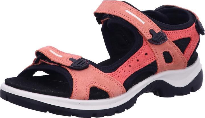 Burnt Coal, spiced coral