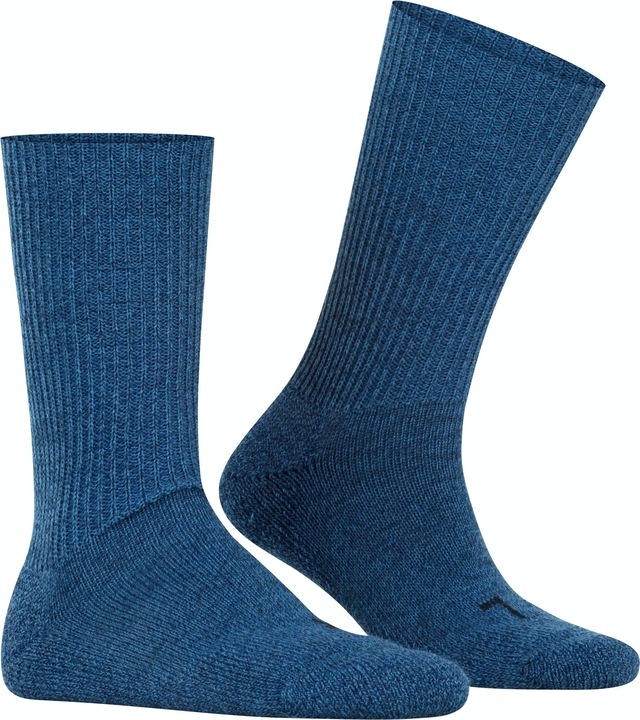 Actual product image Falke Walkie Ergo SO (37 - 38)