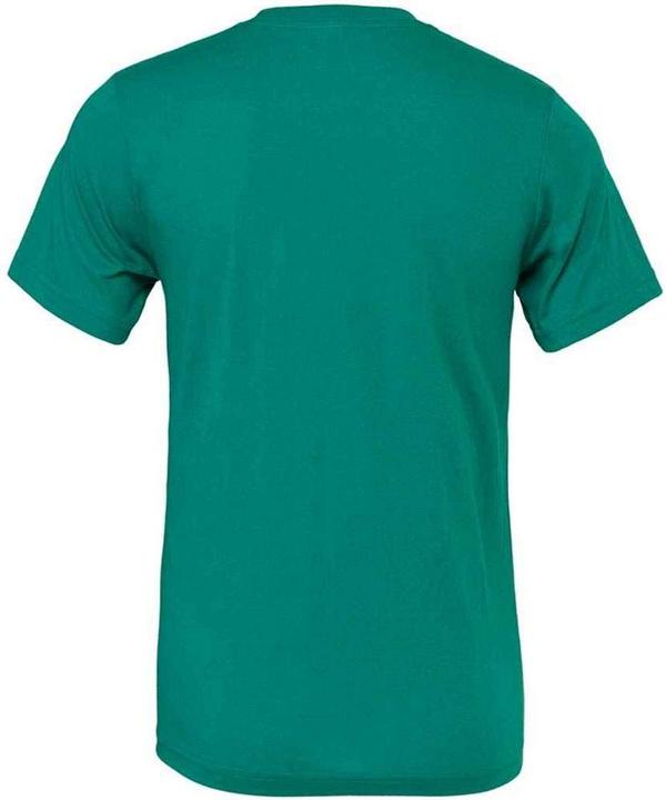 Actual product image Bella Canvas Adults Unisex Crew Neck T-Shirt (XL)