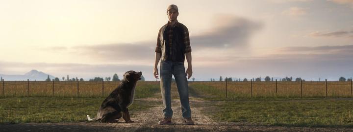 Image du produit Focus Home Interactive Farming Simulator 19 - Premium Edition (PS4)