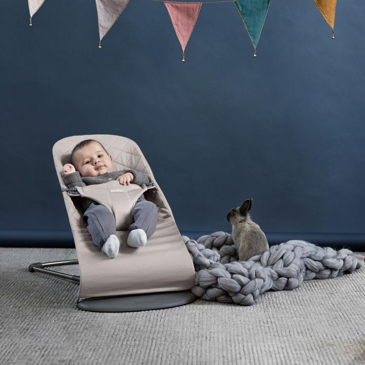 Productafbeelding BabyBjörn Gelukzaligheid