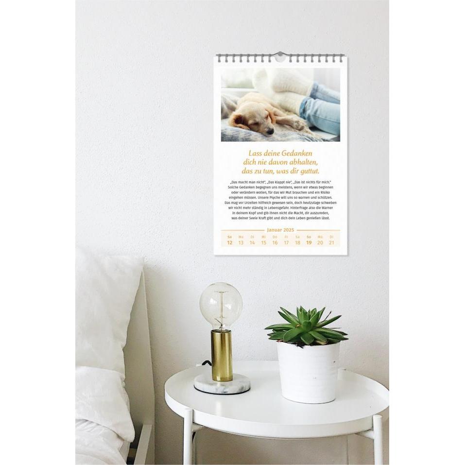 Thumbnail - Pal, Agenda, Der Lebensfreude-Kalender 2025 im Grossformat (Deutsch)