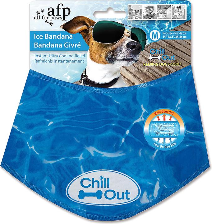 Hundebekleidung