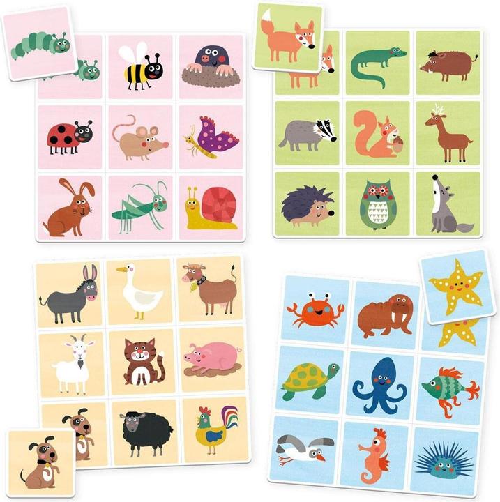 Actual product image Mein buntes Tier-Lotto (German)