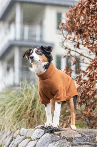 Actual product image Trixie Citystyle Hondentrui sweatshirt Amsterdam Roest (S, Dog jumper)