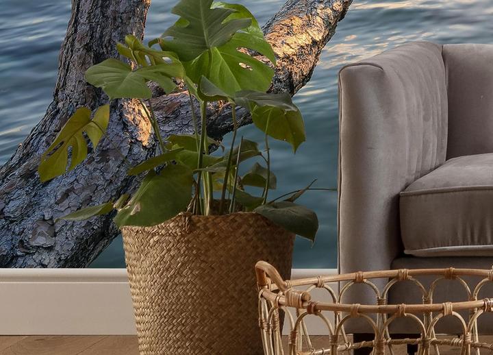 Productafbeelding Komar Vliesbehang Final Light 9 panelen 450 x 280 cm