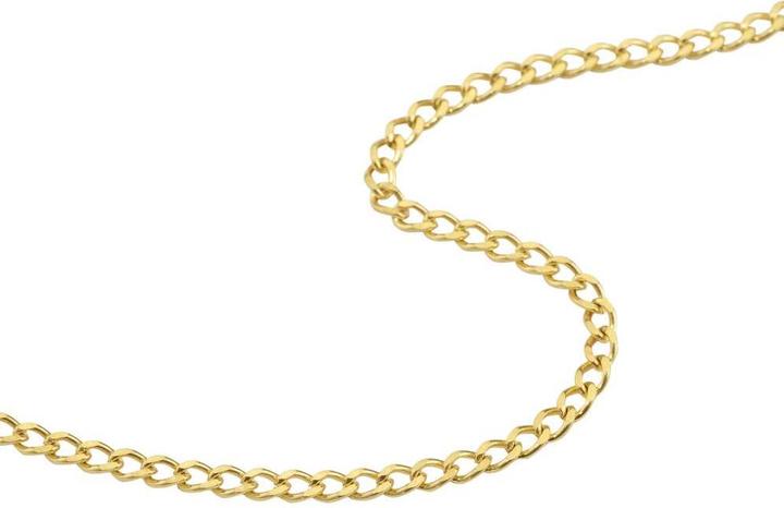 Immagine prodotto Bijouteria Catena (Acciaio inossidabile, Rivestimento in PVD (colore oro), 40 cm)