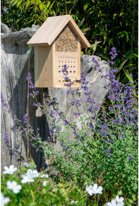 Actual product image Dobar Maja (Bee)