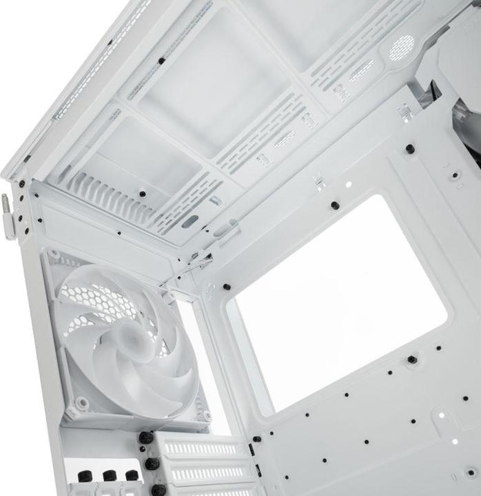 Immagine prodotto Phanteks Enthoo Evolv X (ATX, mATX, Mini-ITX, E-ATX)
