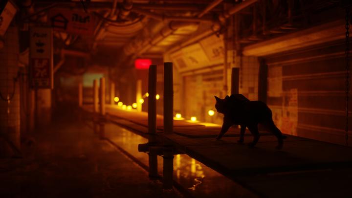 Produktbild Annapurna Interactive Stray (PS5, EN)