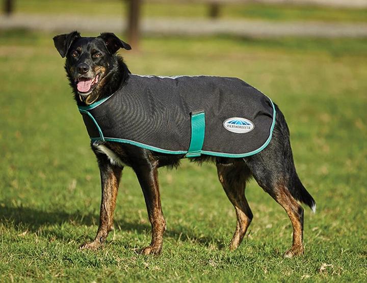 Actual product image Weatherbeeta Green-Tec 900D dog coat medium (25, Dog coat)
