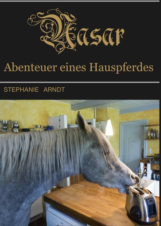 Produktbild Nasar (Deutsch, Stephanie Arndt, 2014)