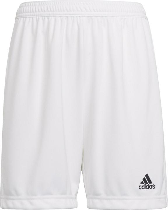 Actual product image adidas Entrada 22 Shorts (152)