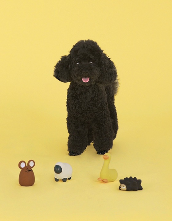 Immagine prodotto United Pets La felice fattoria dell'anatra Emma (Gioco da masticare per cani)