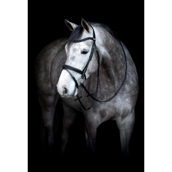 Image du produit Horse Guard Emi 24.2