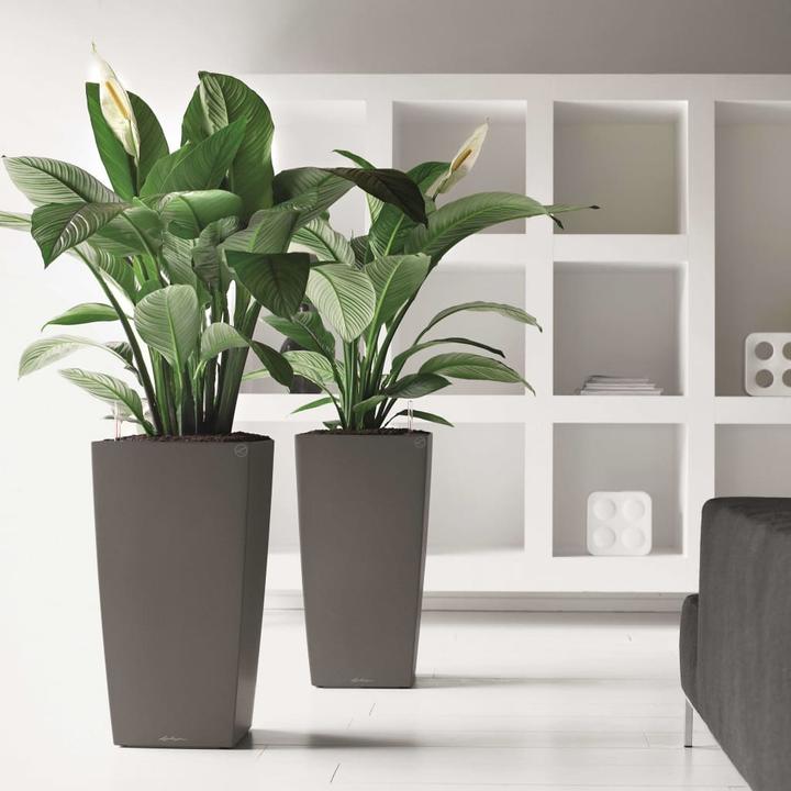 Produktbild Lechuza Cubico (29.50 cm)