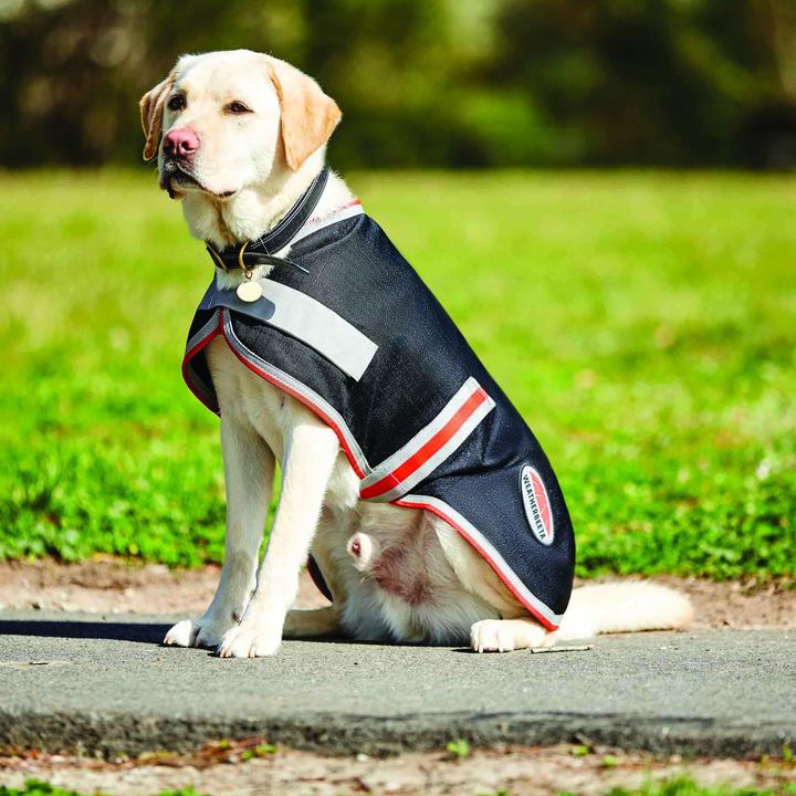 Actual product image Weatherbeeta ComFiTec 1200D Therapy-Tec (30, Dog coat)